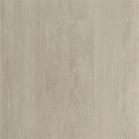 Ecore Baller Spike Vinyl with Rubber