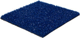Blue sports physical therapy turf